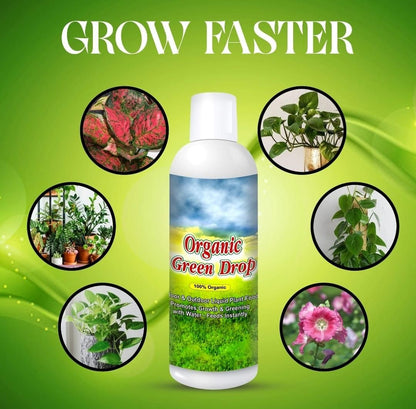 Bottle of Organic Green Drops with images of plants and flowers on a green background