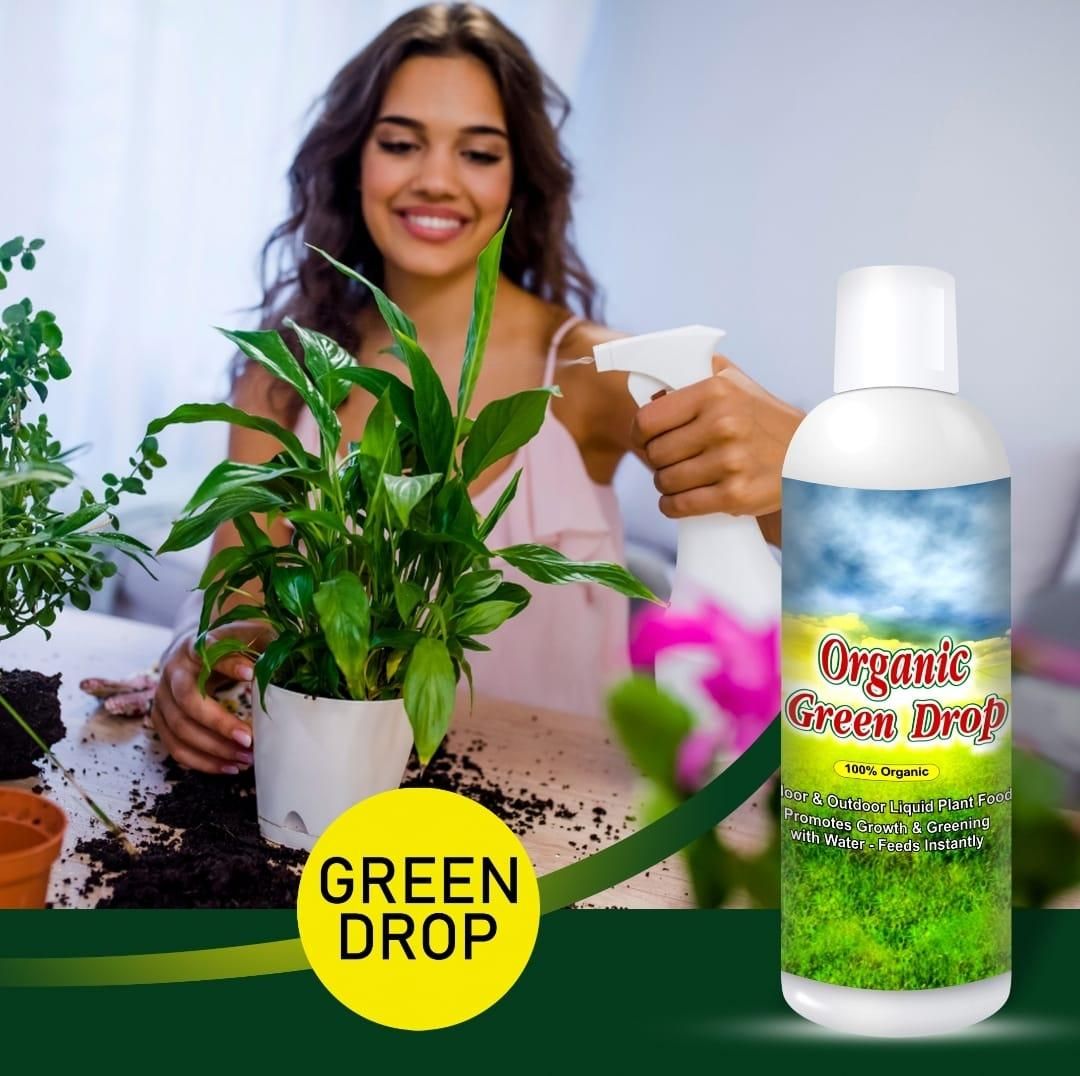 Woman holding a plant with a bottle of Organic Green Drop plant food spray.