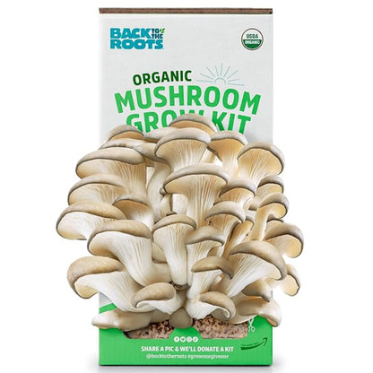Organic mushroom grow kit packaging with mushrooms on a white background