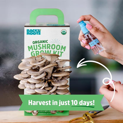 Mushroom grow kit with a hand holding a spray bottle, labeled 'Back to Roots Organic Mushroom Grow Kit'.