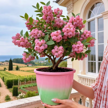 Person holding a potted plant with pink flowers in front of a scenic background