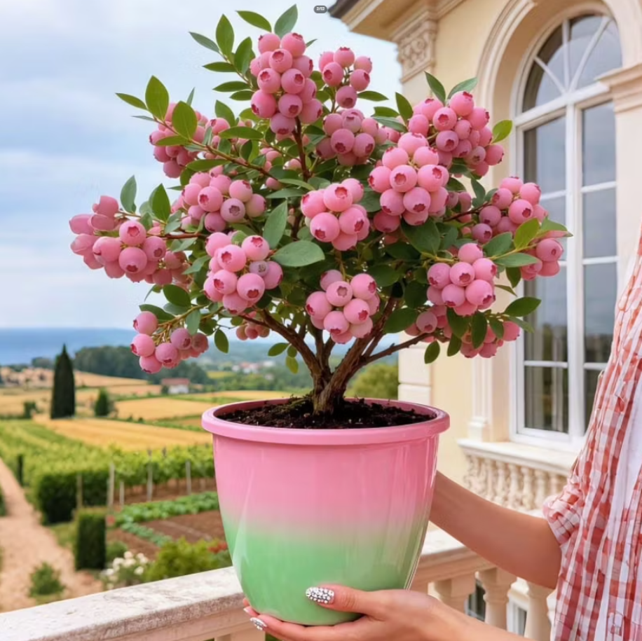 Person holding a potted plant with pink flowers in front of a scenic background