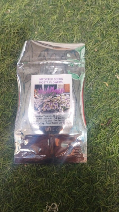 Seeds packet on grass