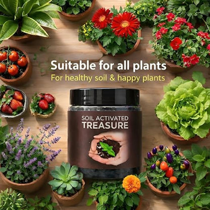 Container labeled 'Soil Activated Treasure' surrounded by potted plants on a wooden surface.