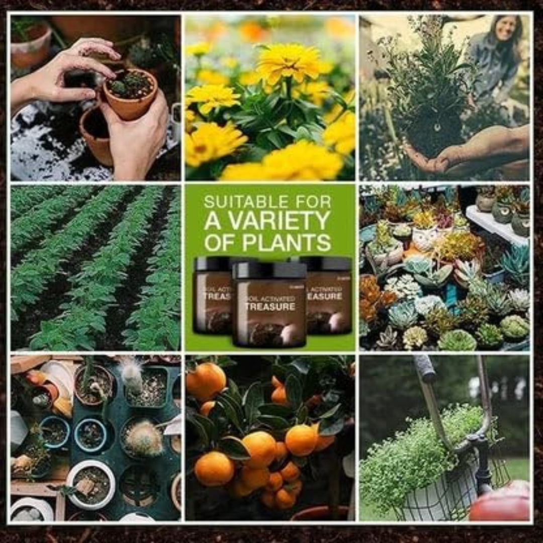 Soil Active Treasure Fertilizer | Potting Mix Soil for Plants (Buy One Get One Free).