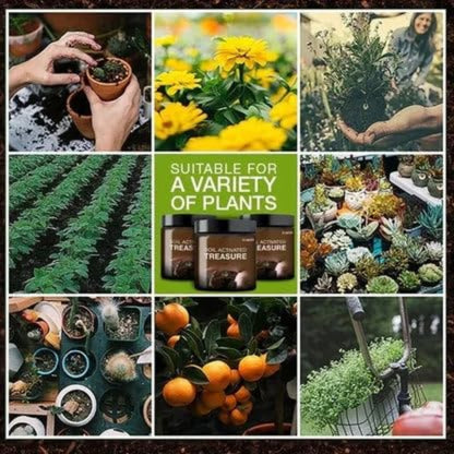 Soil Active Treasure Fertilizer | Potting Mix Soil for Plants (Buy One Get One Free).