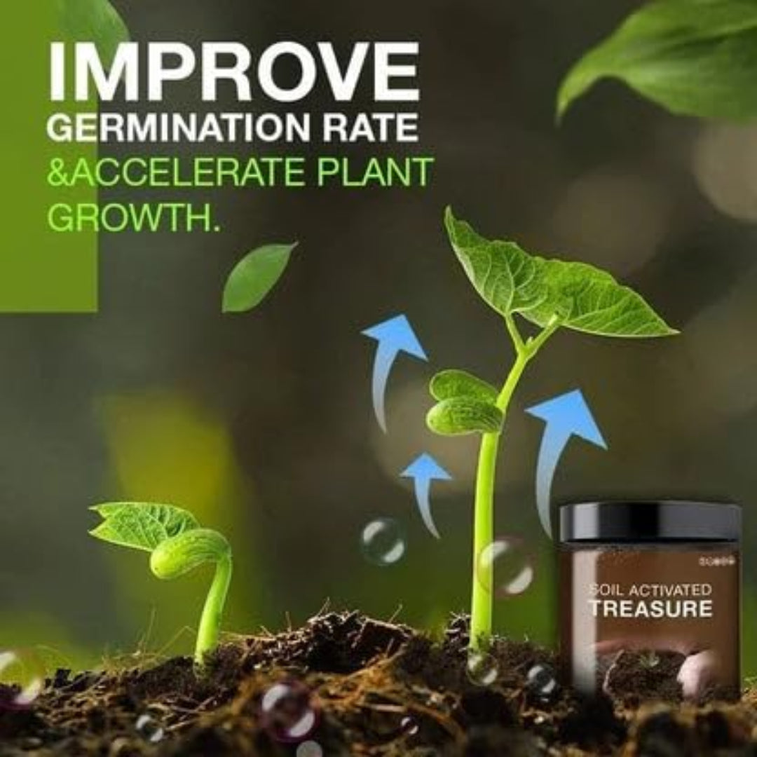 Soil Active Treasure Fertilizer | Potting Mix Soil for Plants (Buy One Get One Free).