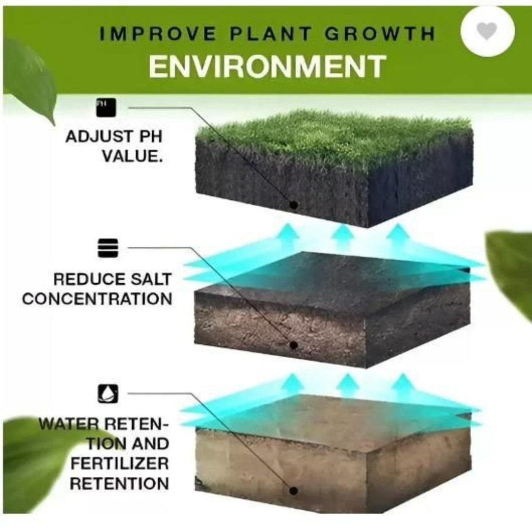 Diagram showing how to improve plant growth environment with text labels.