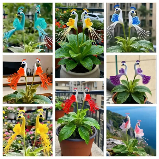 Collage of decorative peacock plant stands in various colors and settings.