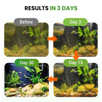 Aquarium growth progress over 30 days with labeled stages.