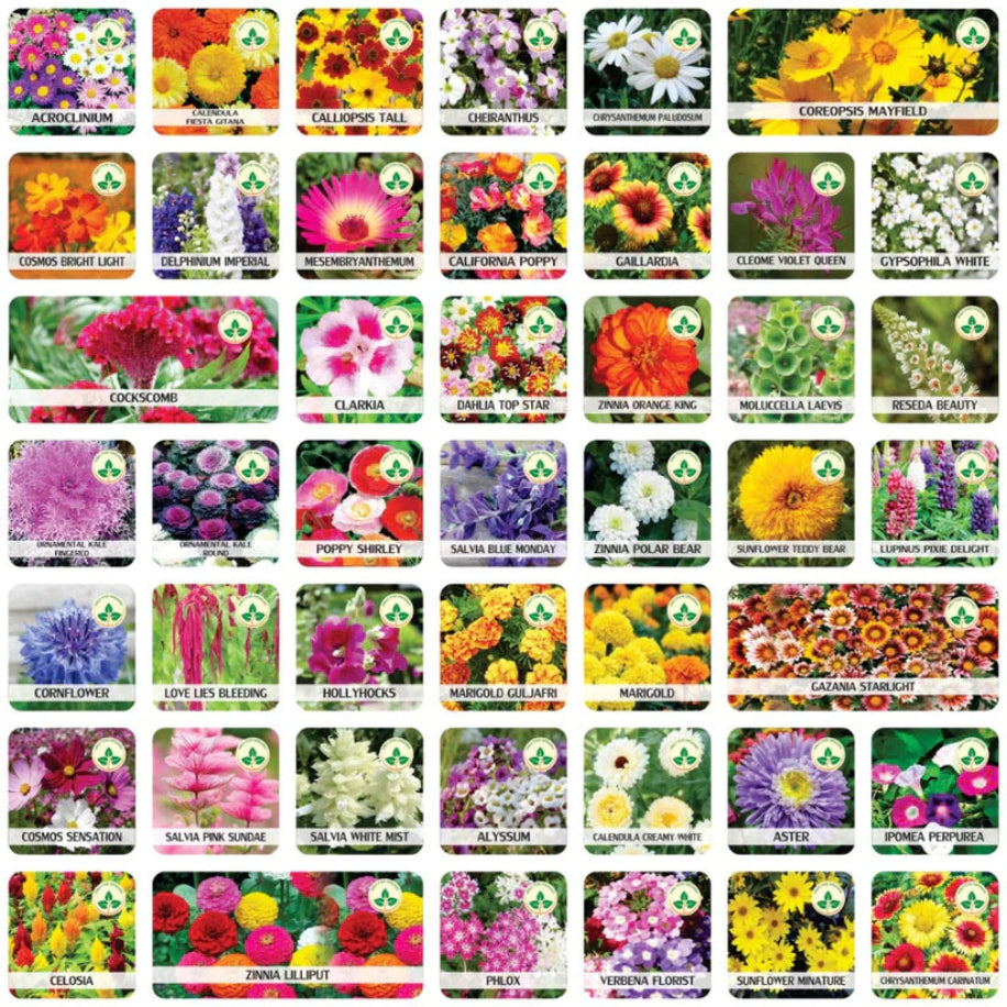 Collection of flower seed packets with various colors and designs.