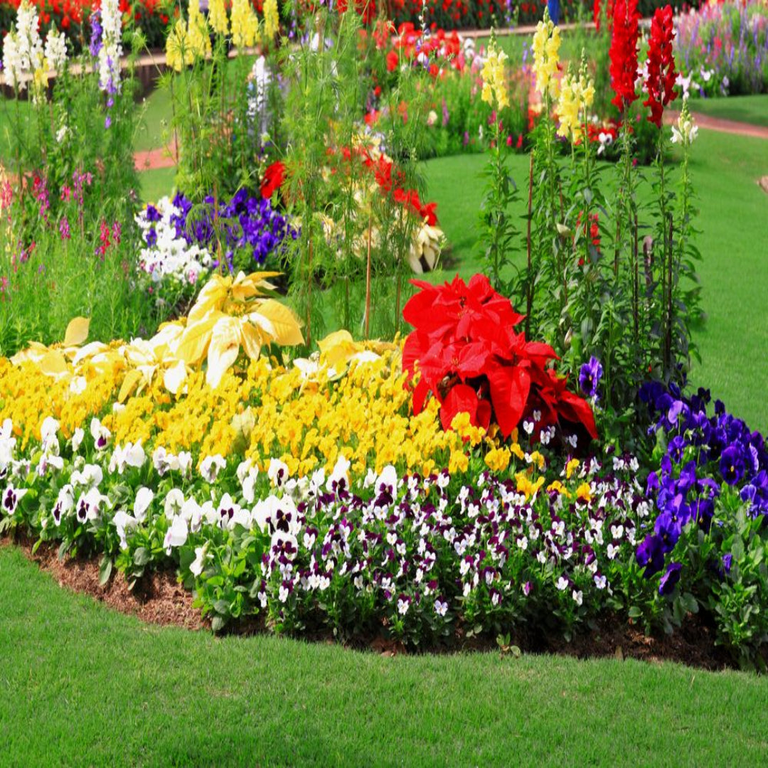 Colorful flower garden with a variety of flowers on a green lawn