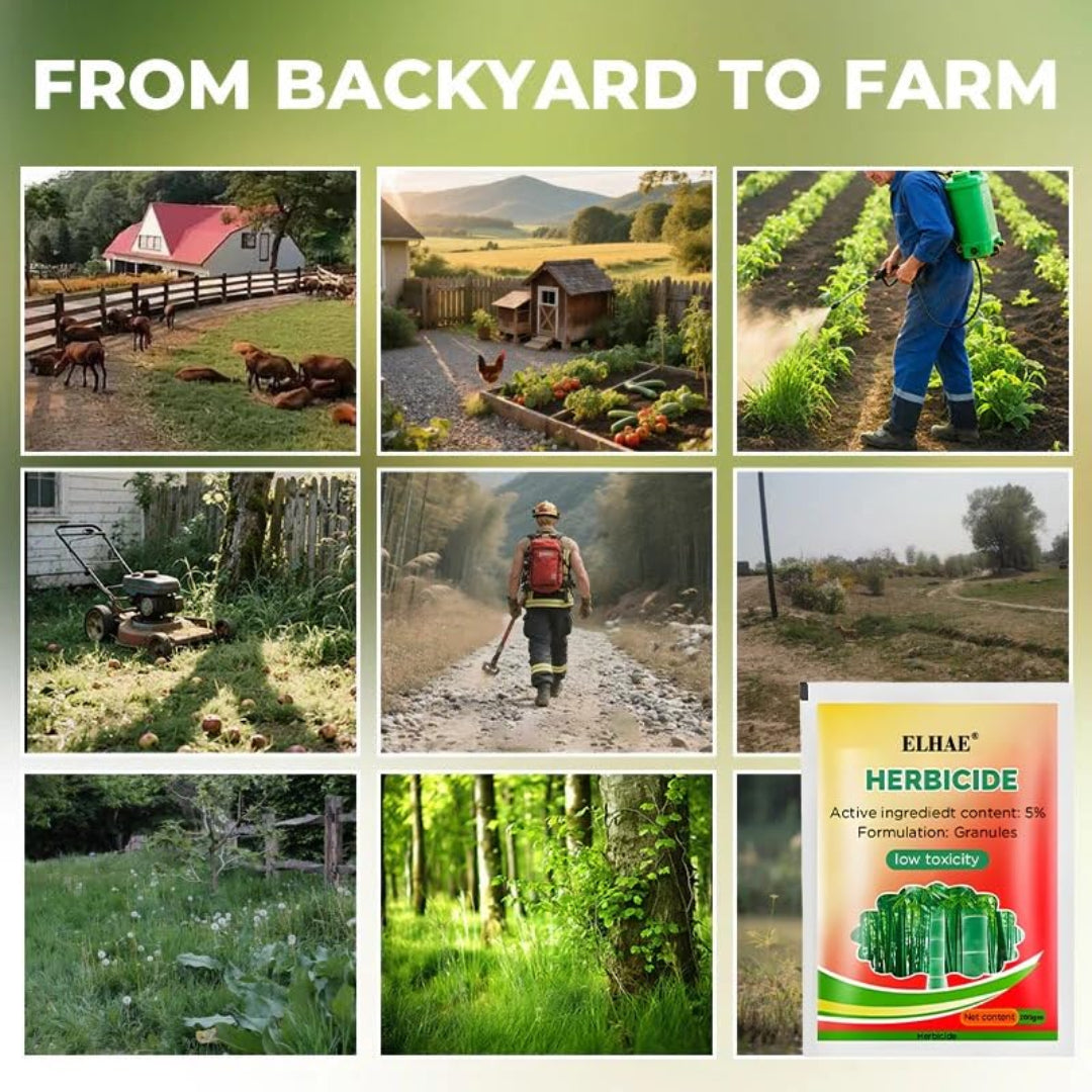 Collage of images showing a transition from backyard to farm, with a focus on gardening and farming activities.