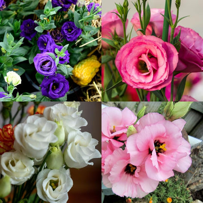 Collage of four different flower bouquets with purple, pink, white, and pink flowers.