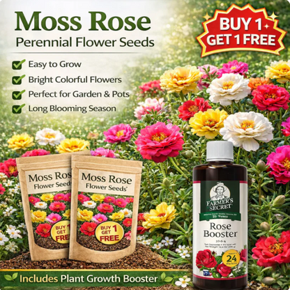 Moss Rose perennial flower seeds with a plant growth booster on a background of colorful flowers.