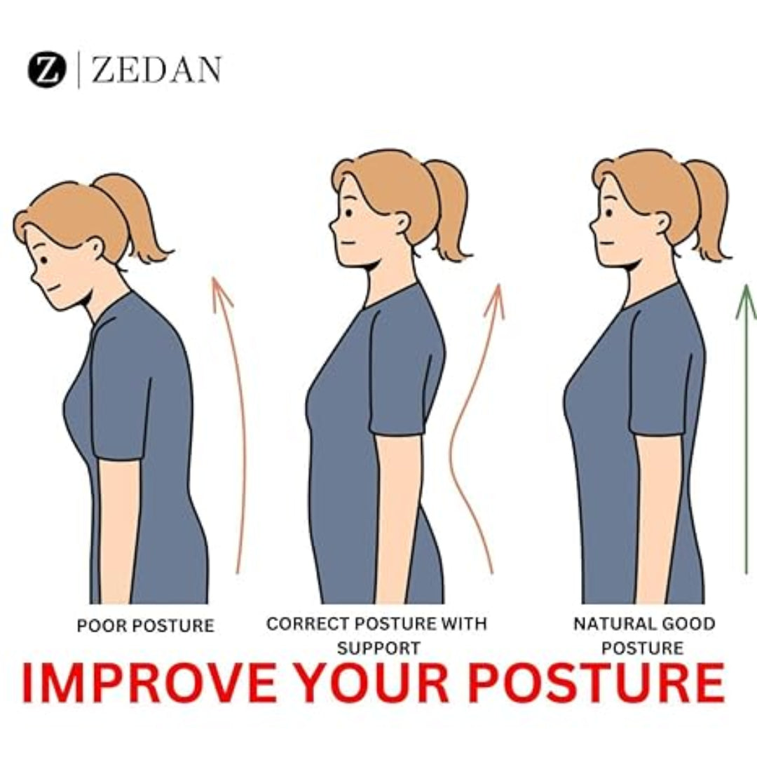 Illustration of poor, correct, and natural good posture with ZEDAN branding.