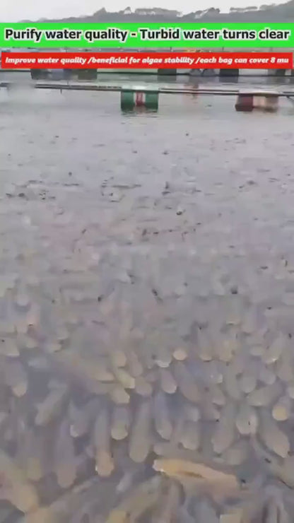 Water Conditioning Powder for Ponds .