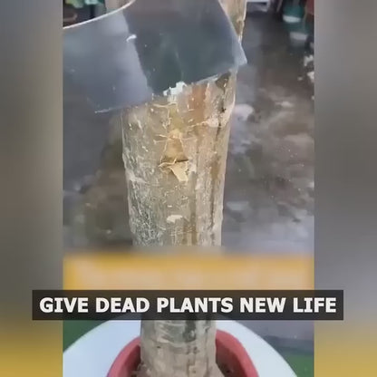 Plant Growth Enhancer Supplement .