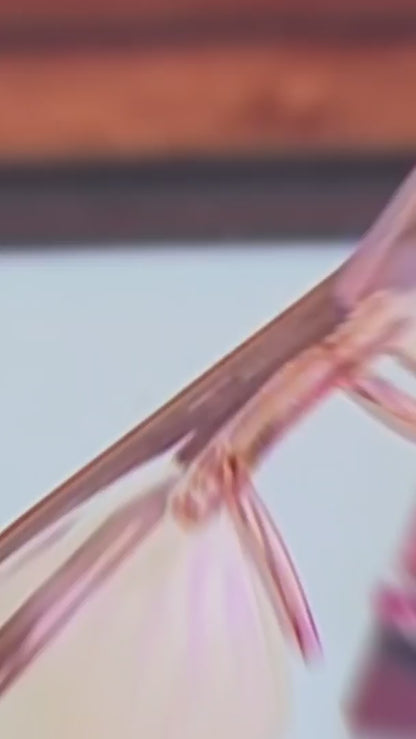 Bifocal Adaptive Power Reading Glasses - Buy 1 Get 2 FREE