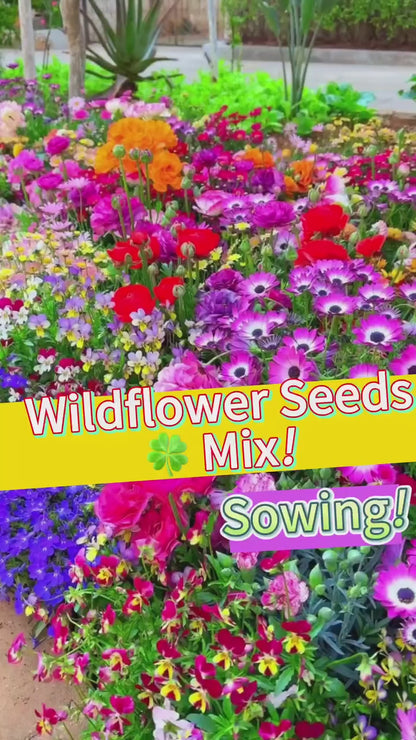 Buy Varieties of Flower Seeds (Pack of 100) And Get Plant Growth Supplement Free