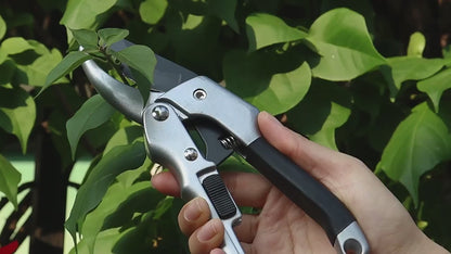 Pruning Shears .