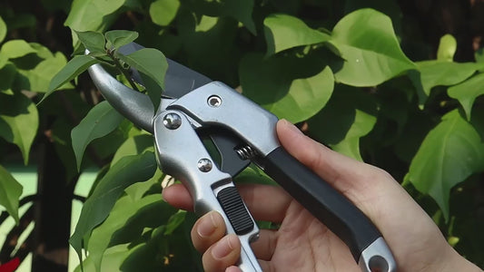 Pruning Shears .